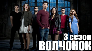 Волчонок 3 сезон