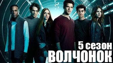 Волчонок 5 сезон