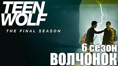 Волчонок 6 сезон