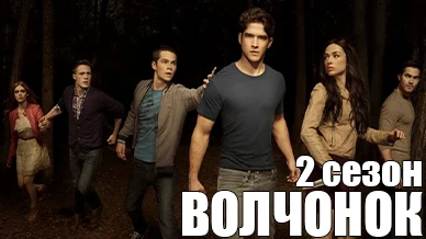 Волчонок 2 сезон